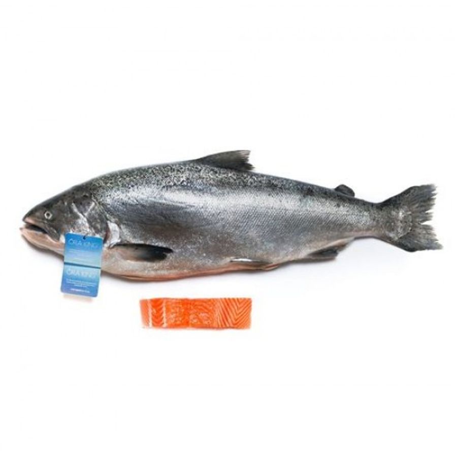 Salmon - NZ Premium ORA KING Whole (6-10lbs)