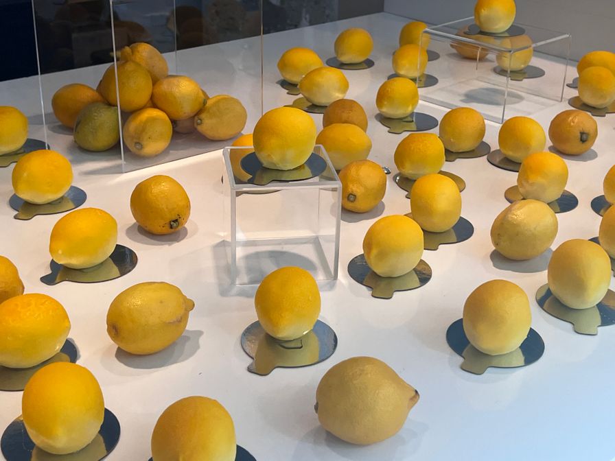 Lemon Entremet