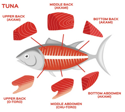 Bluefin Tuna O-Toro