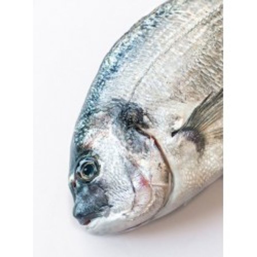 Sea Bream (Orata) - Whole 600-800 gm