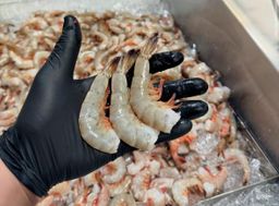 Jumbo Head-Off Mayport Shrimp (21-25 per lb)