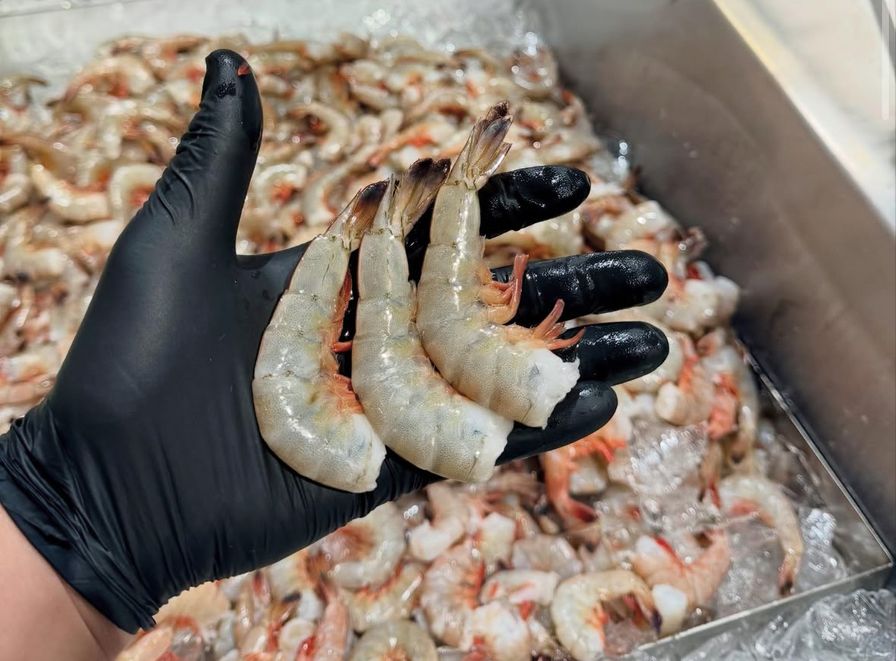 Jumbo Head-Off Mayport Shrimp (21-25 per lb)