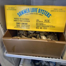 Live Oysters - SUMMER LOVE - By the Piece