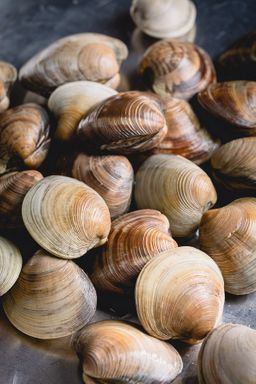 Wild Littleneck Clams
