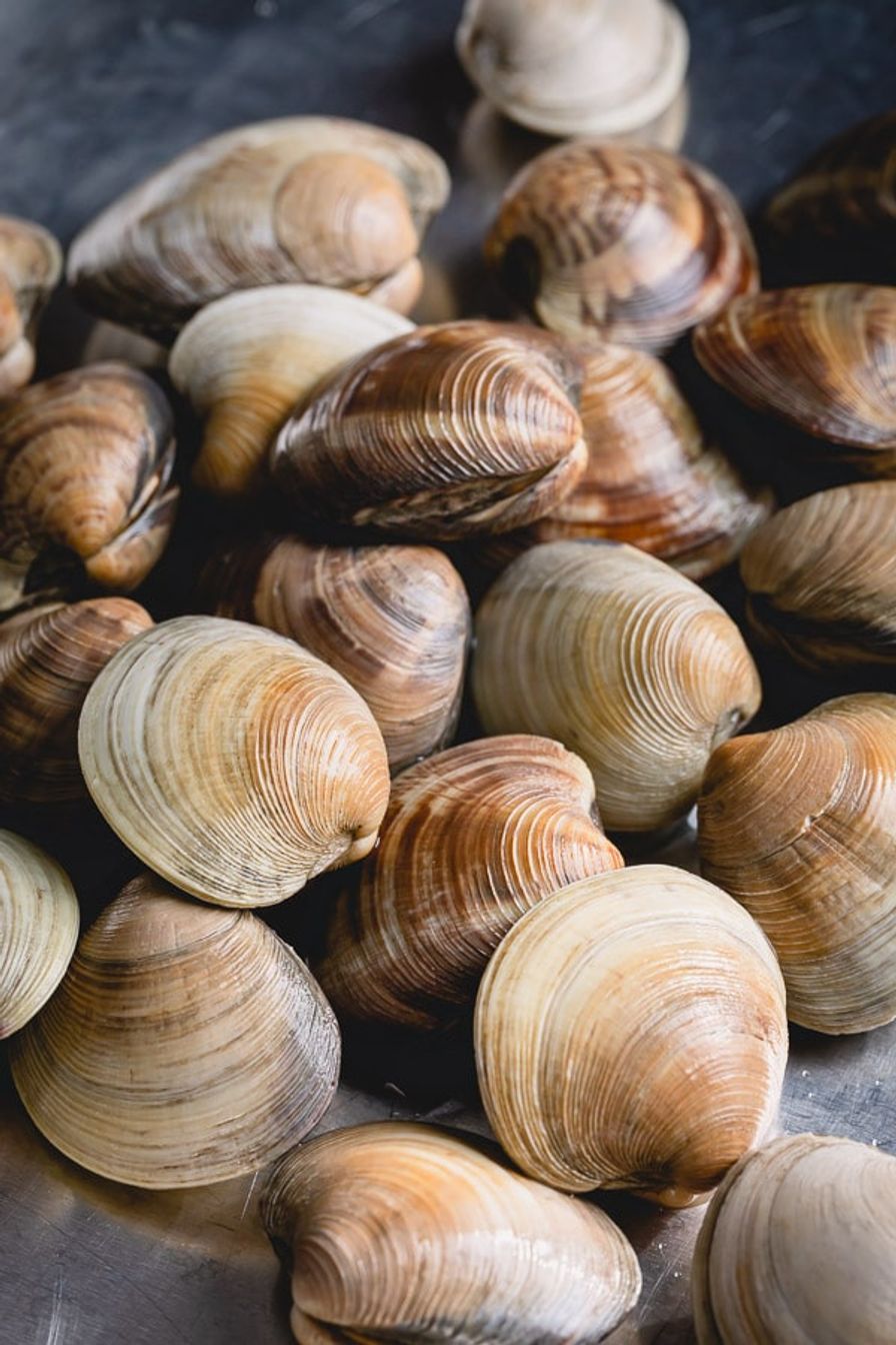 Wild Littleneck Clams