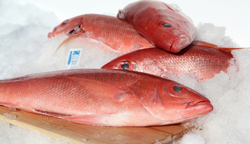 Whole (Vermillion) Red Snapper 