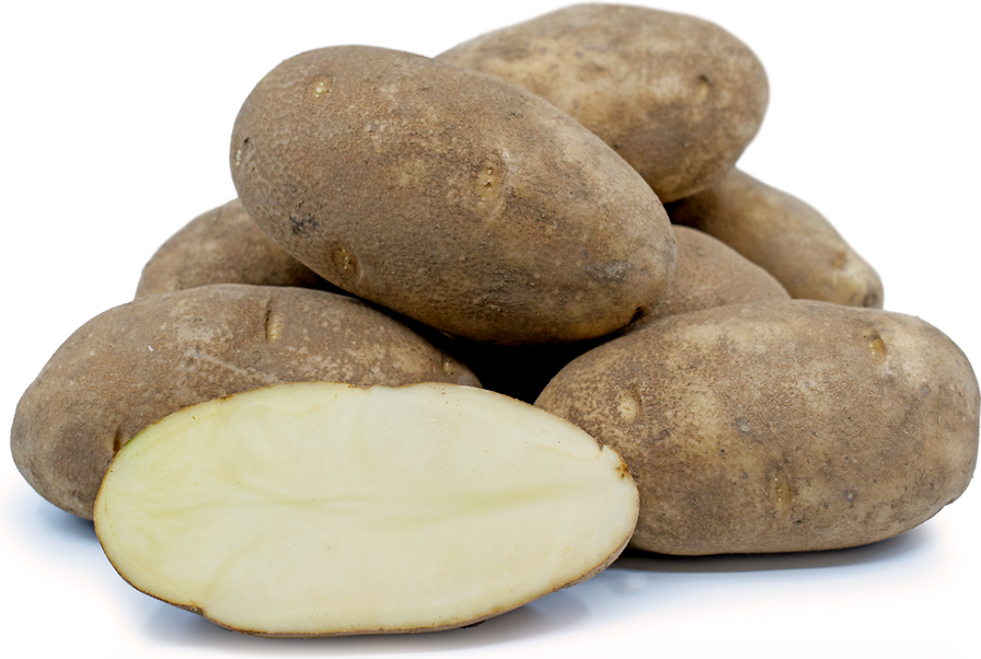 Potato, Russet