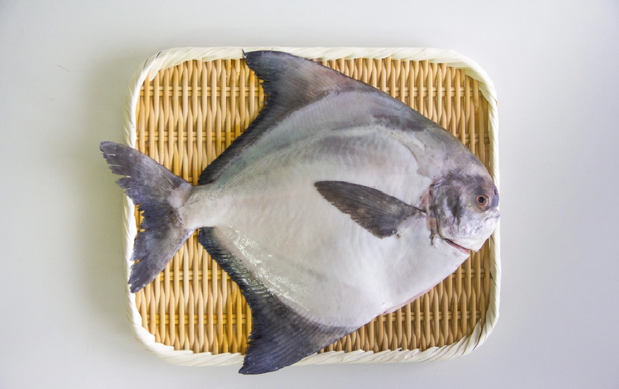 Managatsuo - Premium Japanese Harvest Fish