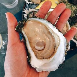 Totten Inlet Virginica Oyster