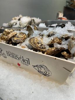 Live Beausoleil Oysters