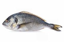 Whole Sea Bream, Dorada, Orata