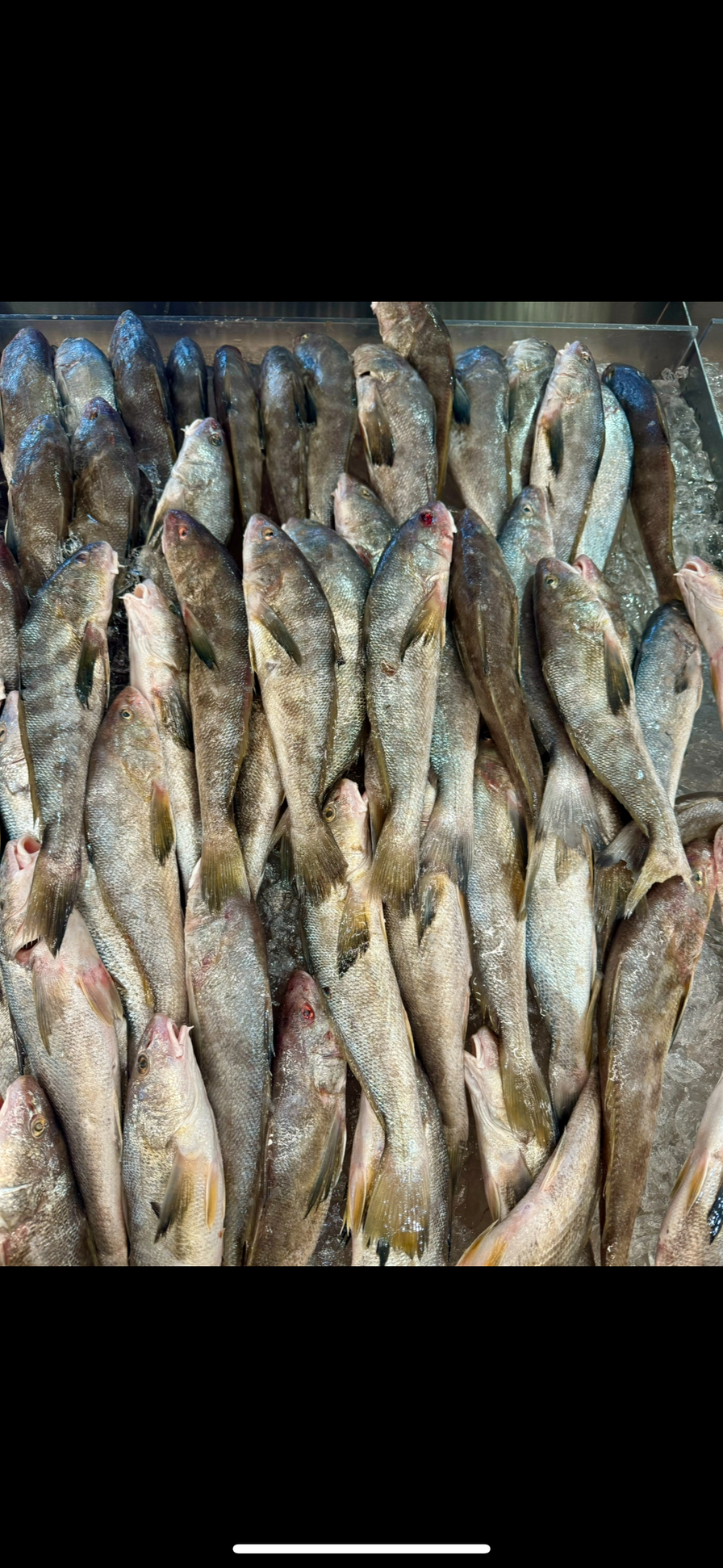 Whiting (Whole)