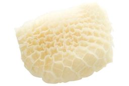 Honeycomb Beef Tripe
