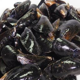 PEI Mussels