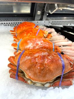 Whole Cooked  Frozen Dungeness Crab