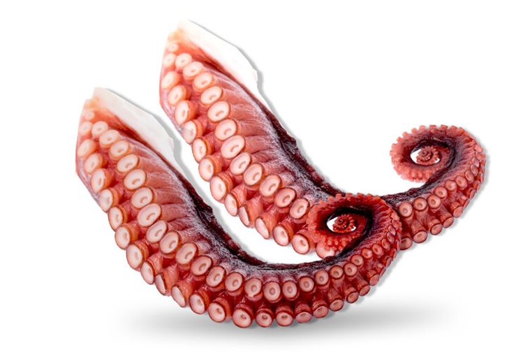 https://storage.googleapis.com/duckr-b8e76.appspot.com/resized/tako_octopus_tentacle__3_lbs__frozen__pack_frozen--1602722229142_896x504.jpeg