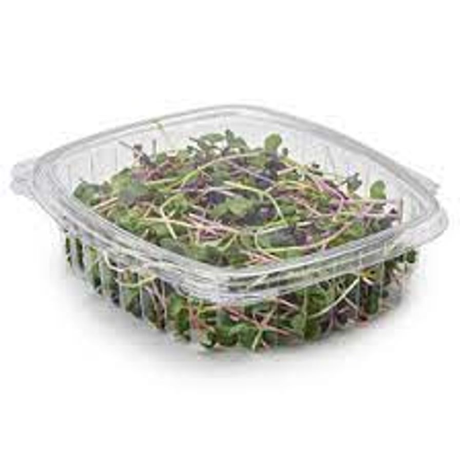 Micro Green
