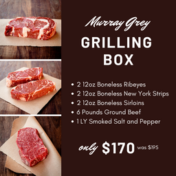 Murray Grey Mini Grilling Box 