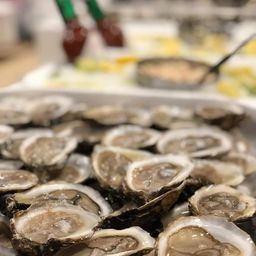 Live Oysters - EAST CAPE - By the Piece