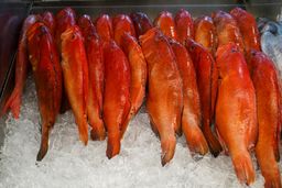 Strawberry Grouper