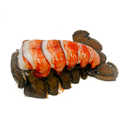 Jumbo Canadian Lobster Tail