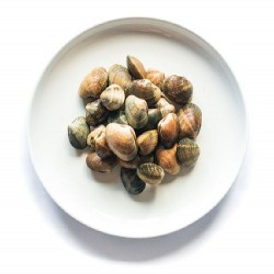 Clams - B.C. Manila (2 lbs)