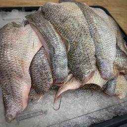 White Perch Wild Fillets - FRESH