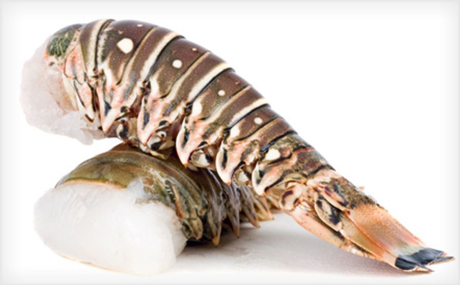 Caribbean Rock Lobster Tails - Hardshell - 4oz - FROZEN