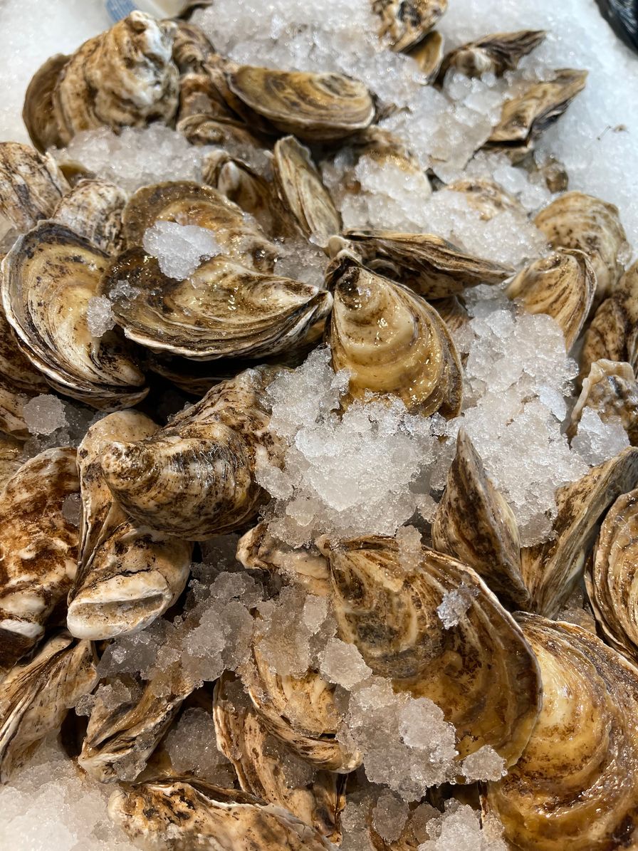Malpeque Choice Oysters