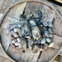 Shrimp & Shellfish Bundle