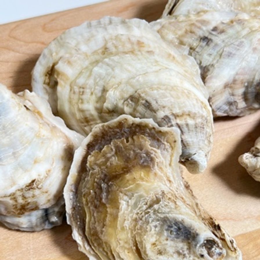 Oysters - DEPORATED P.E.I. Salt Grass Oyster (60 pcs)