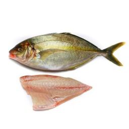 Trevally - Sashimi Grade Japanese Shima Aji Fillet (1.1-1.4 lbs)