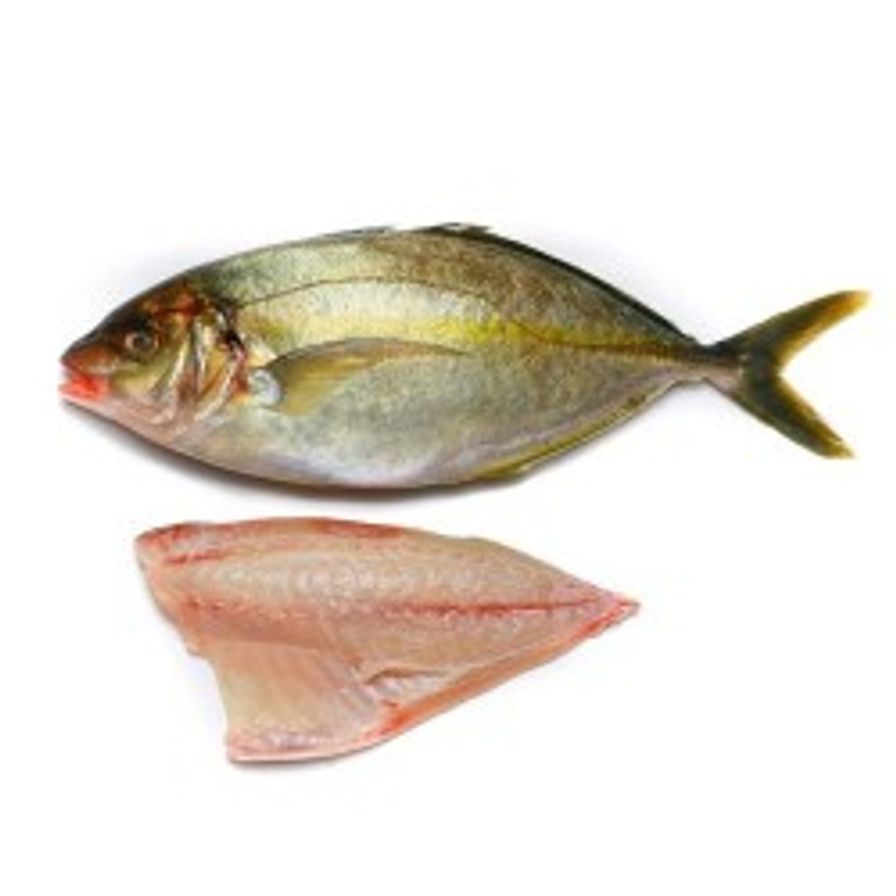 Trevally - Sashimi Grade Japanese Shima Aji Fillet (1.1-1.4 lbs)