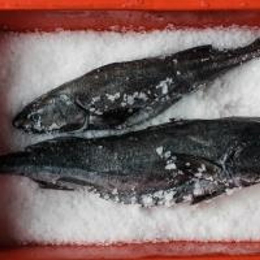 Medium - SF Black Cod (Whole, 4lbs.)