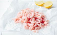 Oregon Bay Shrimp