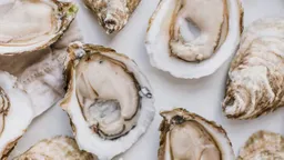 Rustico Oysters