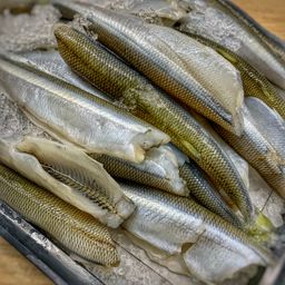 Atlantic Ocean Smelts Dressed