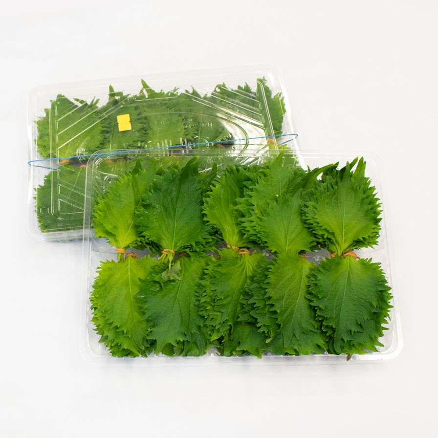 Ohba – Shiso Leaf 