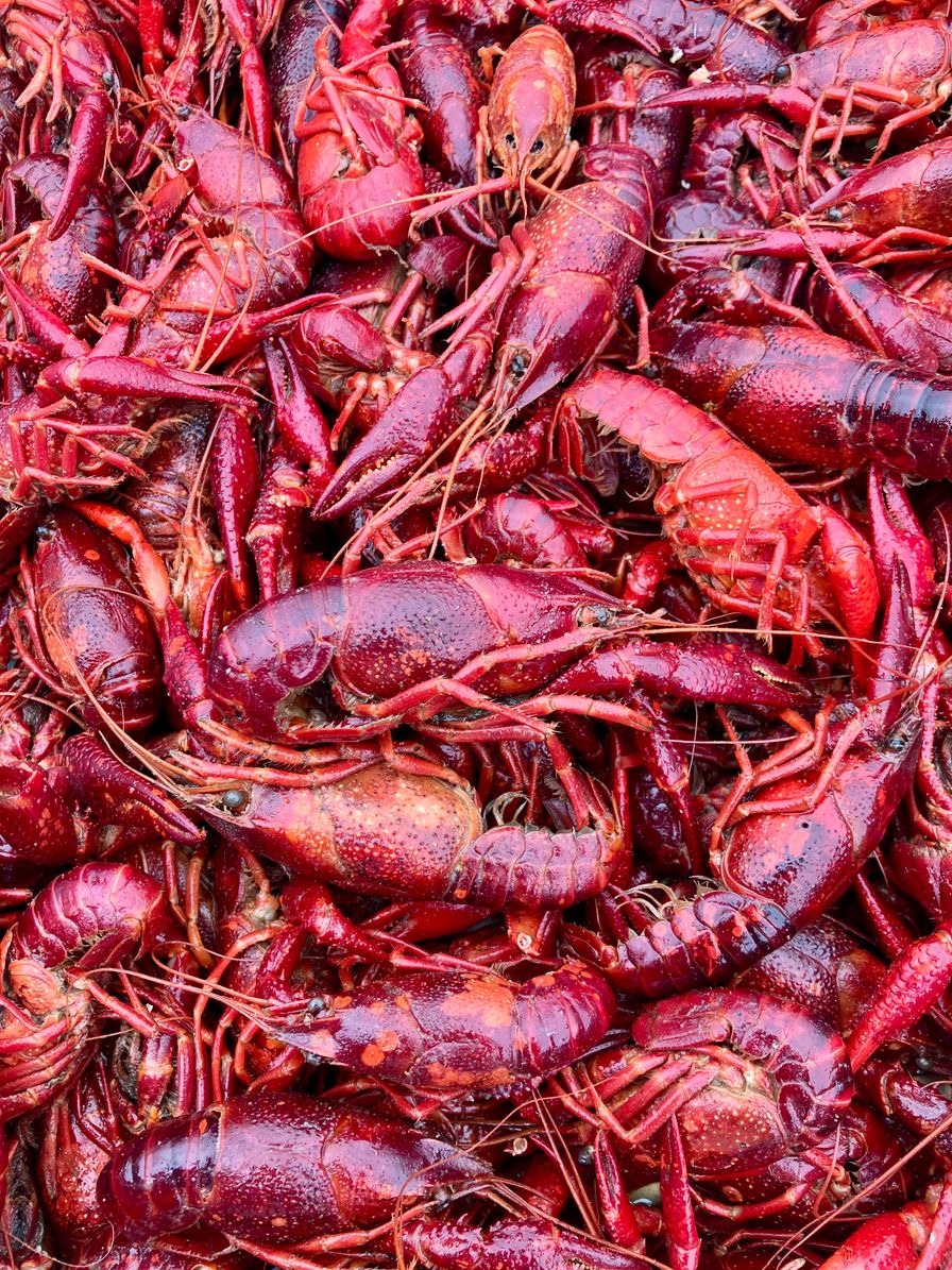 Cooked Whole Crawfish