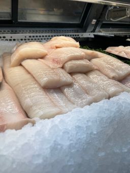 Wild Caught Fresh BC Halibut