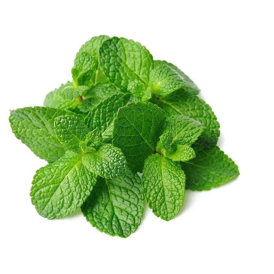 Mint