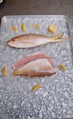 Yellowtail Snapper (Whole)