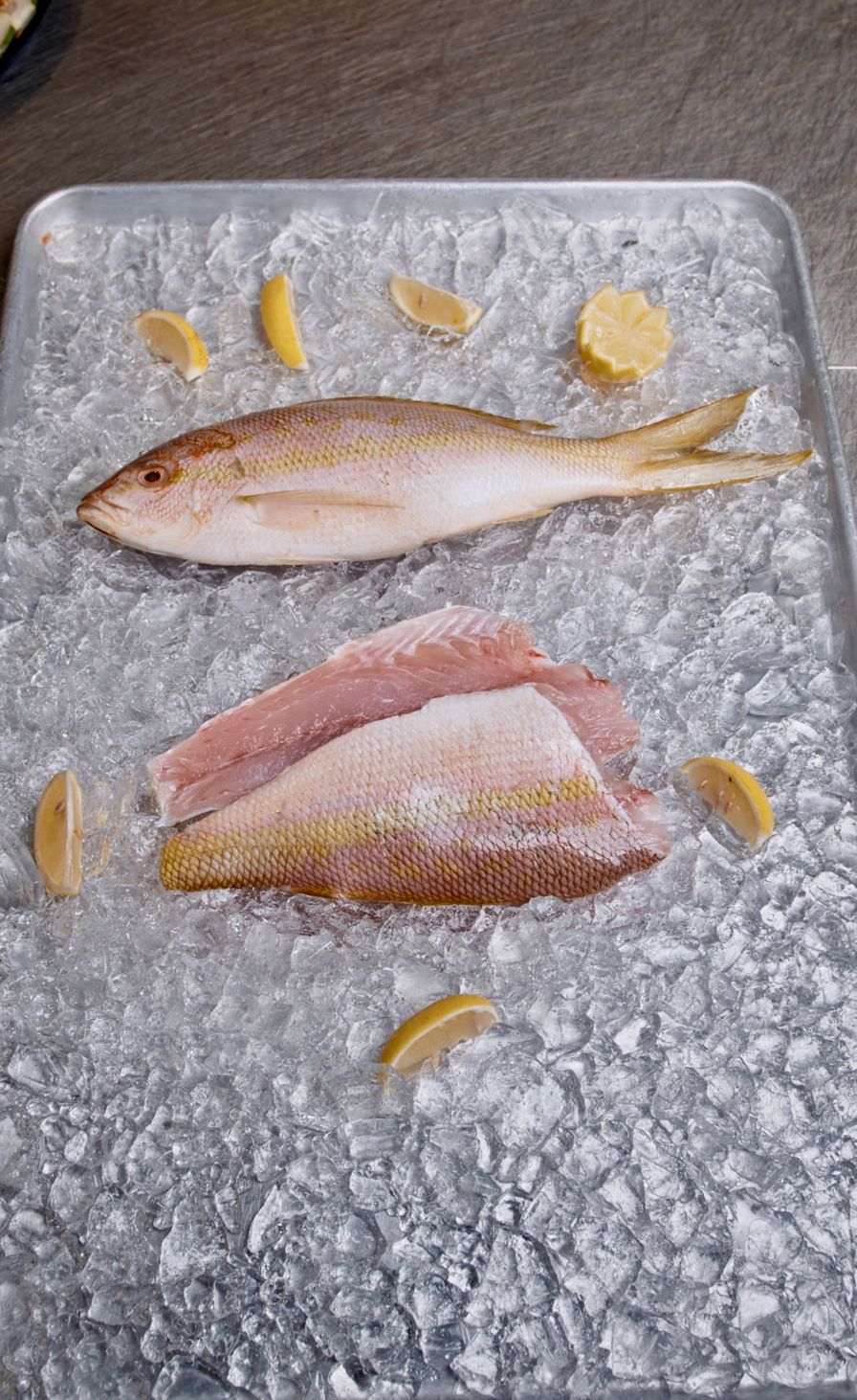 Yellowtail Snapper (Whole)