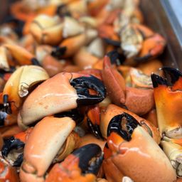 Stone Crab Claws