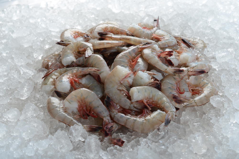 Wild Jumbo Gulf Shrimp