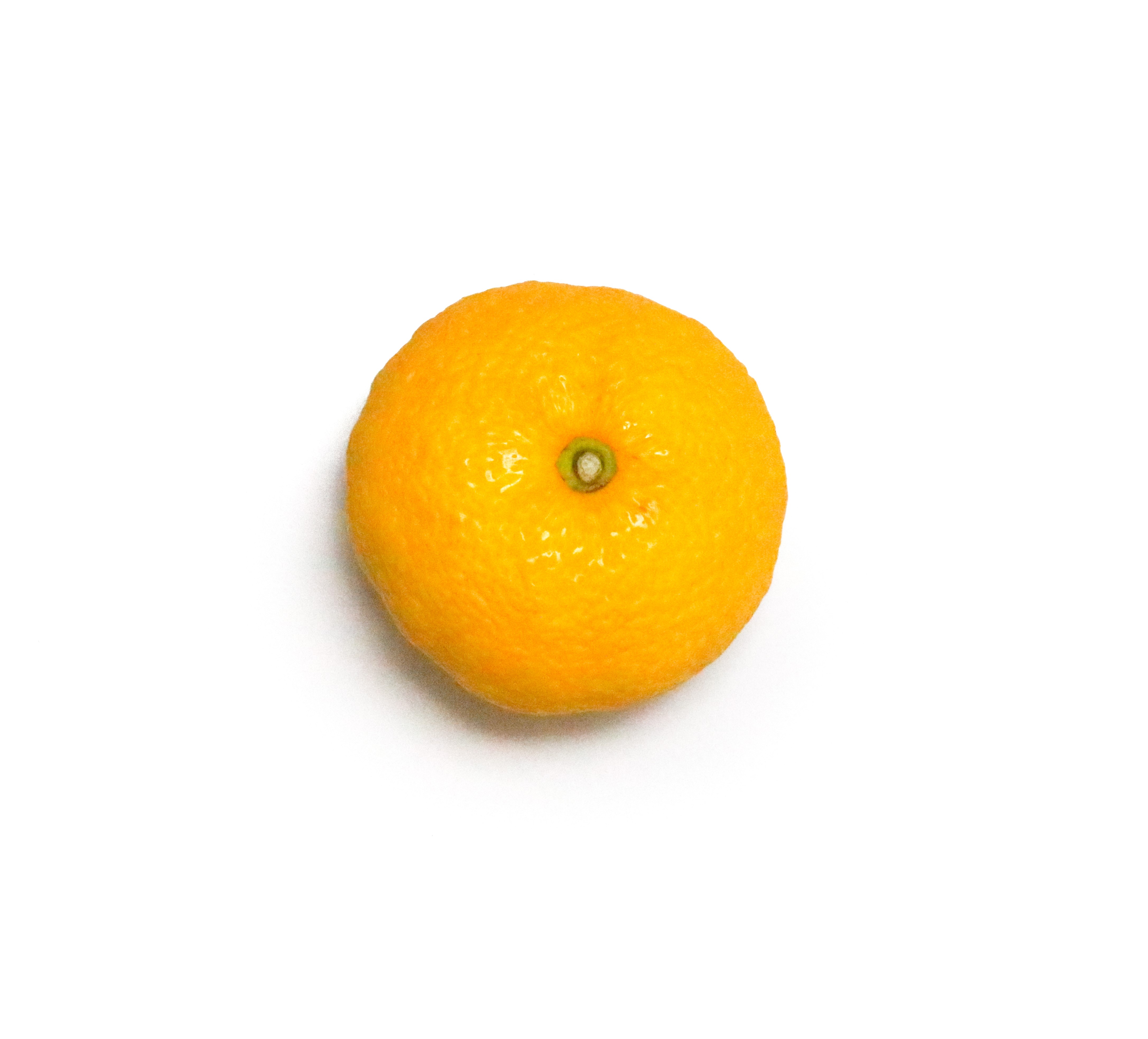 Daily Seafood | Yuzu - Japanese (≈100gm)