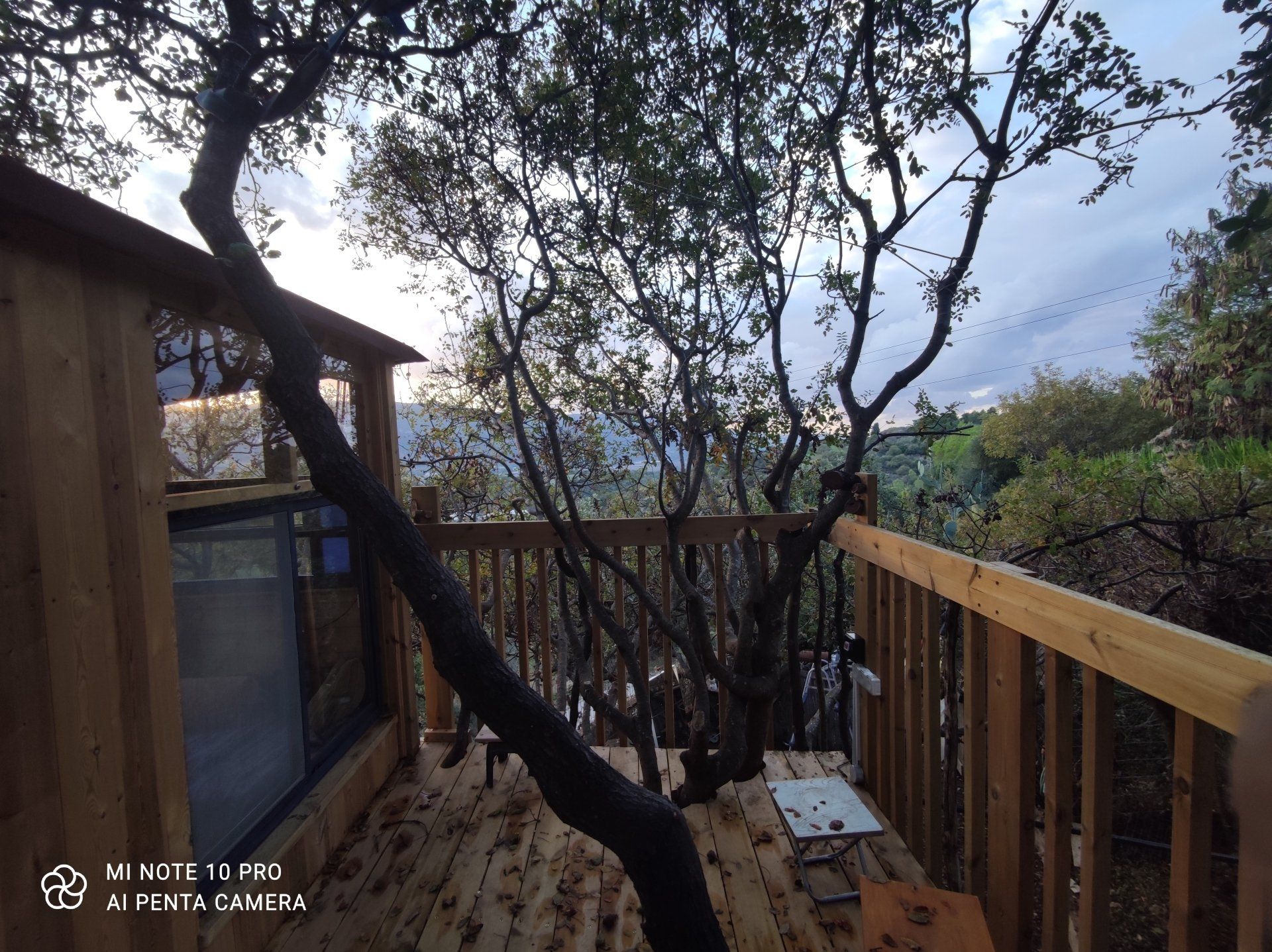 Tree house project image 15