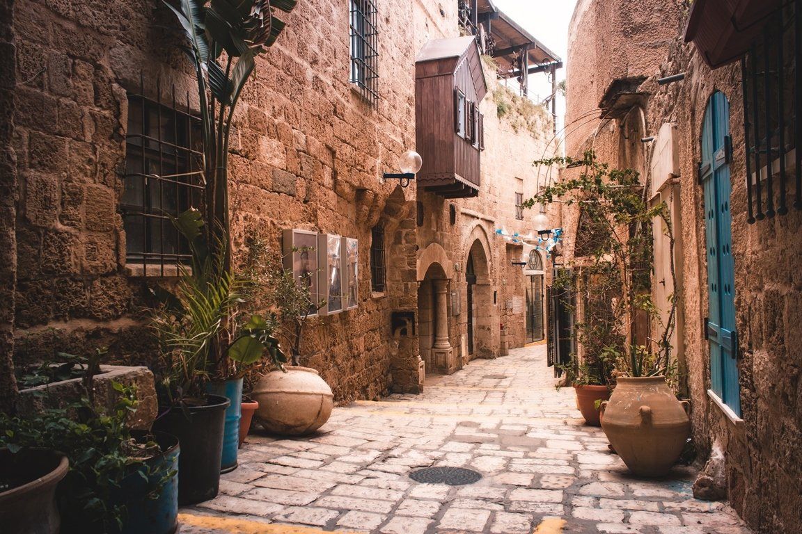 תמונה ללא תיאור