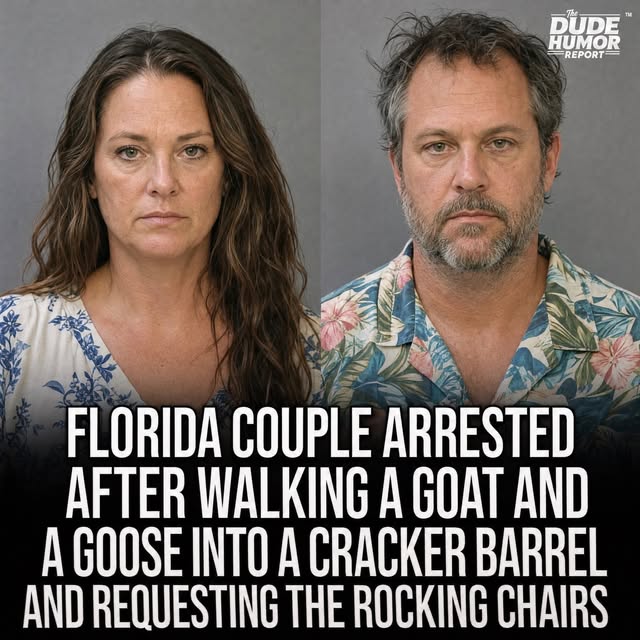 FLORIDA COUPLE ARRESTED AFTER BRINGING A GOAT AND A GOOSE INTO CRACKER BARREL TO "TEST THE PORCH EXPERIENCE"
