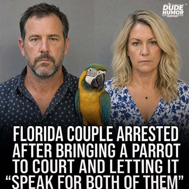 FLORIDA COUPLE ARRESTED AFTER INSISTING THEIR PARROT WAS THEIR ATTORNEY DURING COURT HEARING